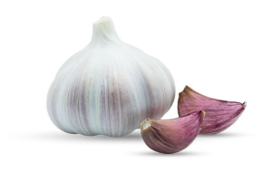 Ajo morado